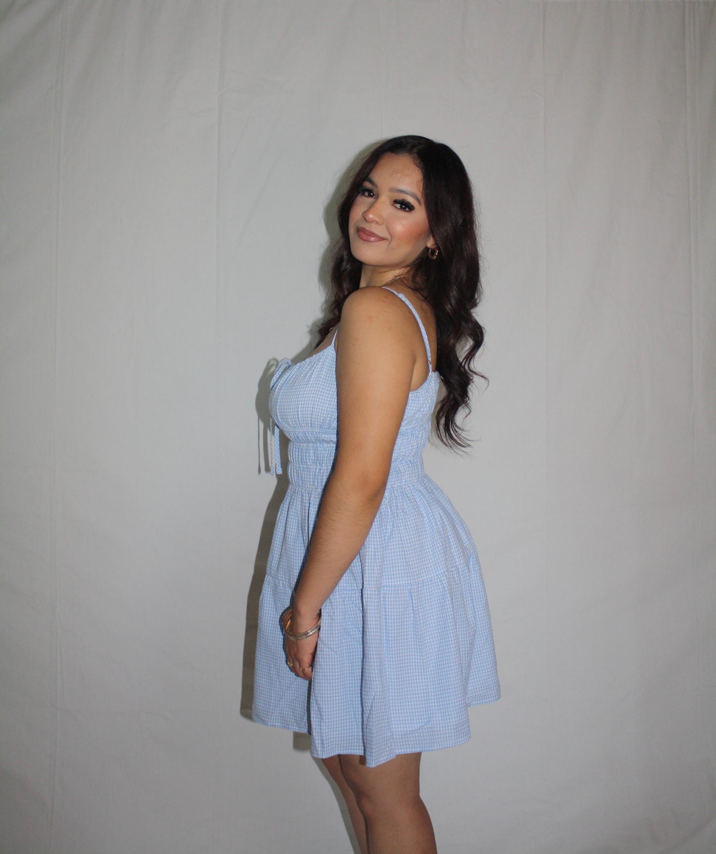 Taya Checkered Blue Dress